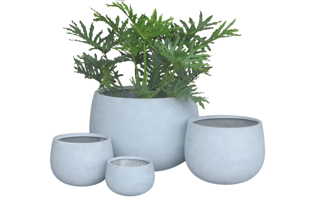 West Pot Grey